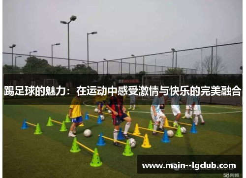 踢足球的魅力：在运动中感受激情与快乐的完美融合